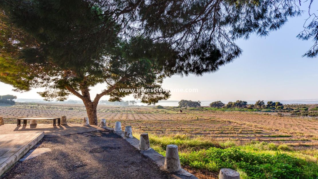 Verkoop - Bungalow - Torrevieja - La Siesta - El Salado - Torreta