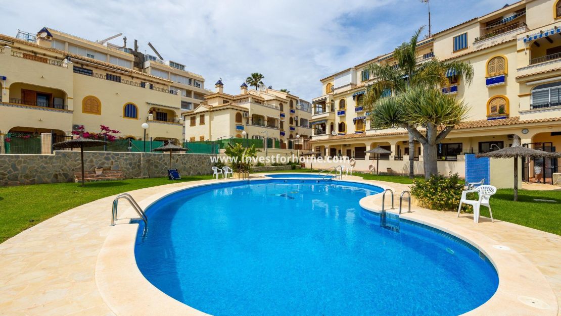 Verkoop - Bungalow - Torrevieja - Torrelamata - La Mata