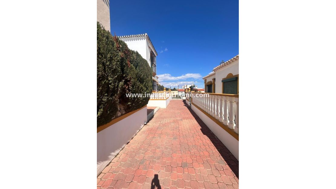 Verkoop - Bungalow - Torrevieja - Torrelamata - La Mata