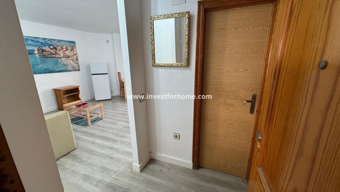 Verkoop - Estudio - Torrevieja - Playa de Los Locos-Curva del Palangre