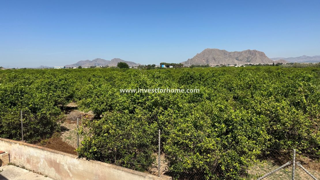 Verkoop - Huis - Benejuzar - Inland