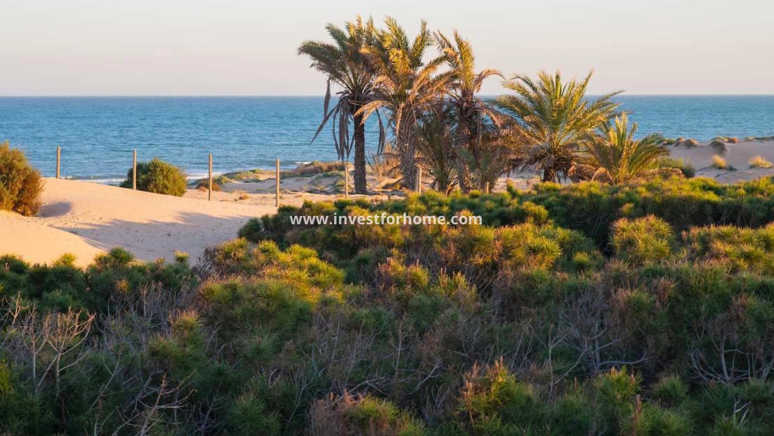 Verkoop - Huis - Guardamar del Segura - Costa Blanca