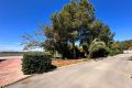 Verkoop - Huis - Guardamar del Segura - Costa Blanca