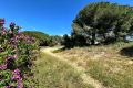 Verkoop - Huis - Guardamar del Segura - Costa Blanca