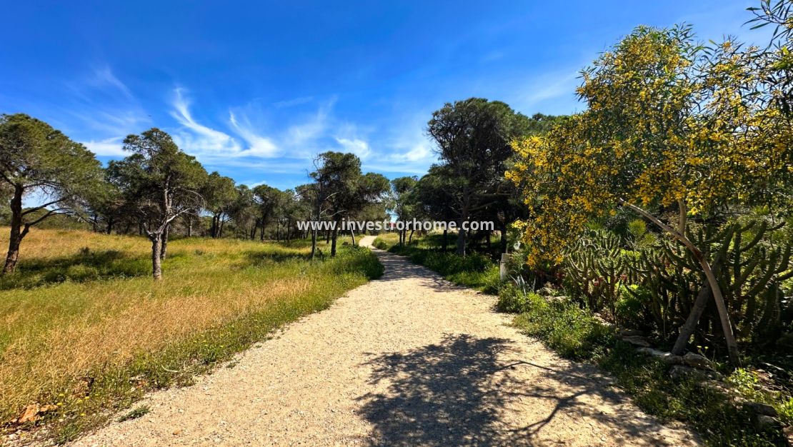 Verkoop - Huis - Guardamar del Segura - Costa Blanca