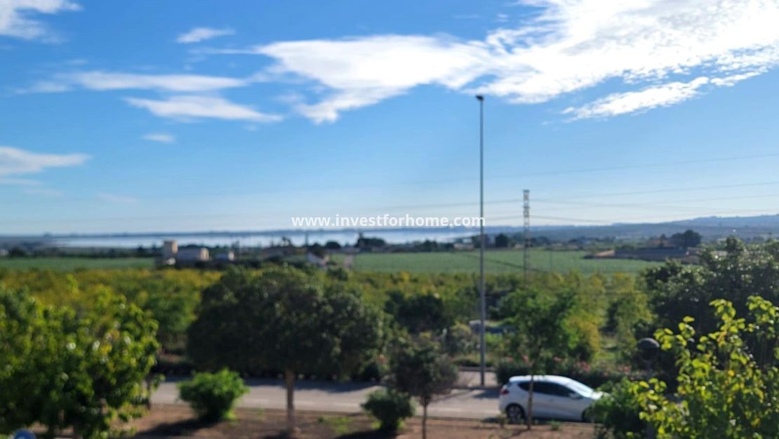 Verkoop - Huis - Los Montesinos - Los Montesinos - Urb. La Herrada