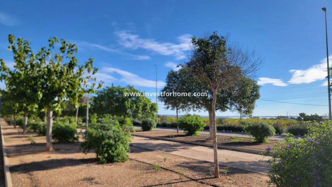 Verkoop - Huis - Los Montesinos - Los Montesinos - Urb. La Herrada