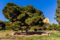 Verkoop - Huis - Orihuela Costa - Costa Blanca
