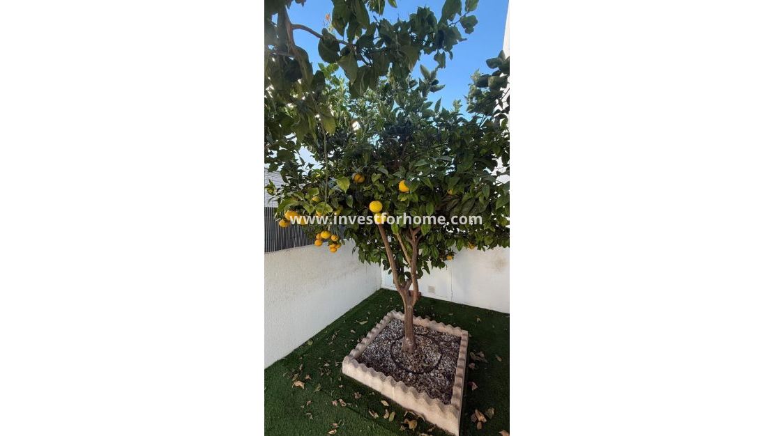 Verkoop - Huis - Torrevieja - aguas nuevas