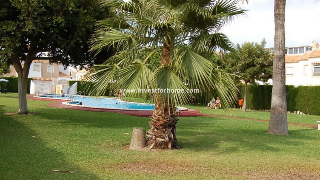 Verkoop - Huis - Torrevieja - Costa Blanca