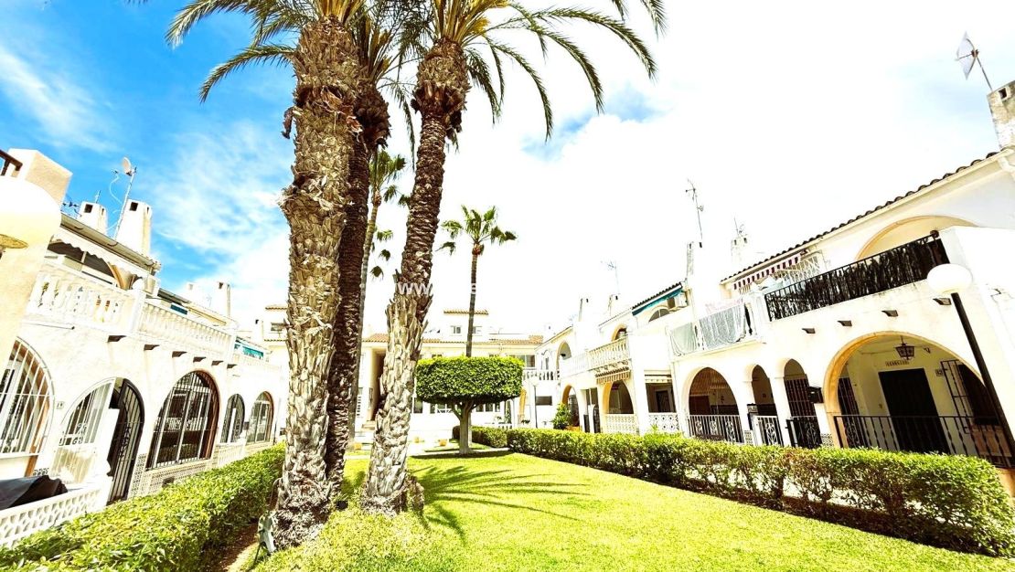 Verkoop - Huis - Torrevieja - El Chaparral