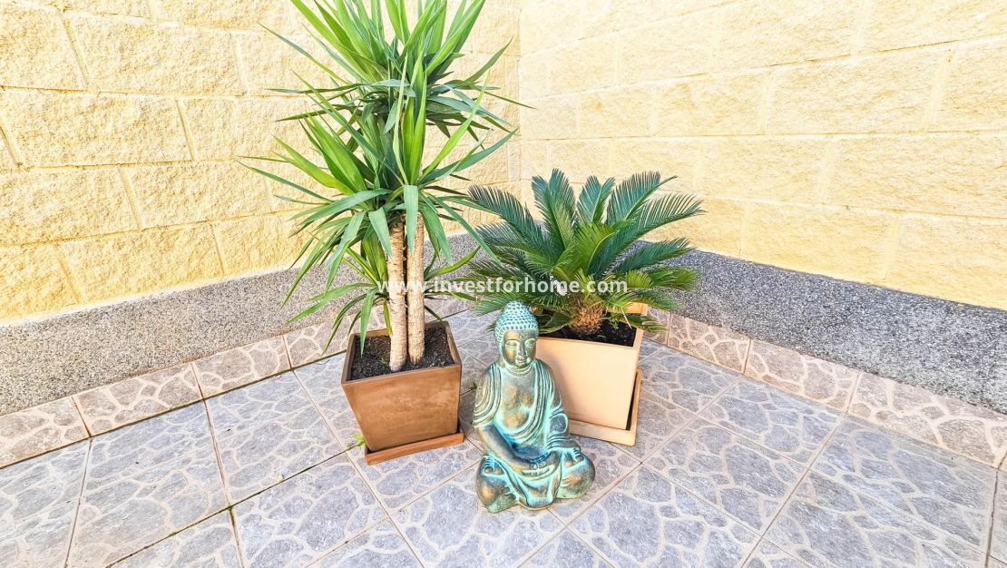 Verkoop - Huis - Torrevieja - El Limonar