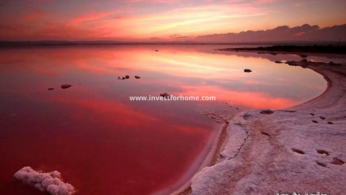 Verkoop - Huis - Torrevieja - La Siesta-El Chaparral