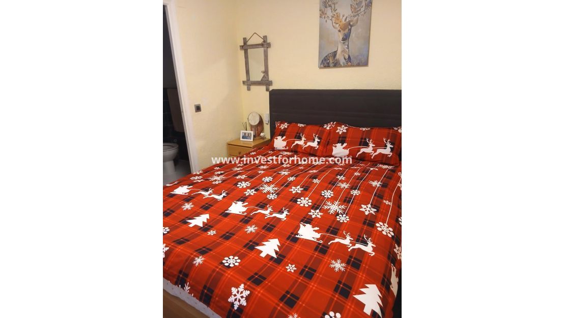 Verkoop - Huis - Torrevieja - La Siesta - El Salado - Torreta