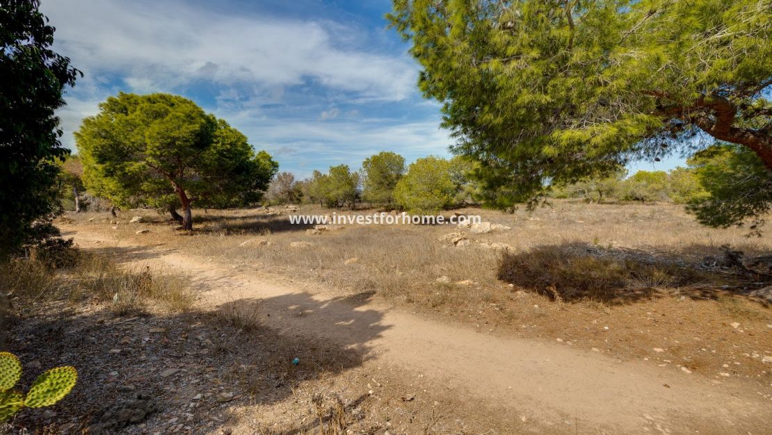 Verkoop - Huis - Torrevieja - La Siesta - El Salado - Torreta