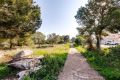 Verkoop - Huis - Torrevieja - La Siesta - El Salado - Torreta