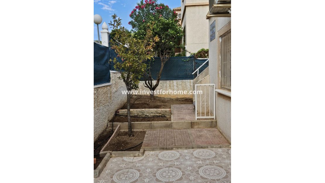 Verkoop - Huis - Torrevieja - Los Balcones - Los Altos Del Edén