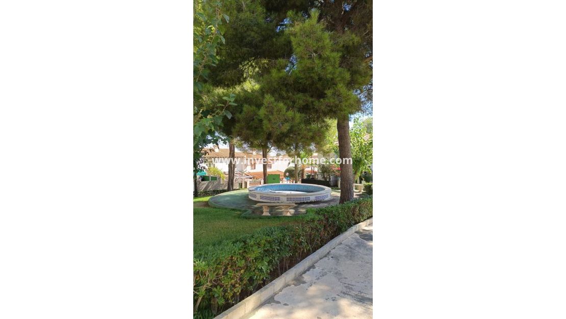 Verkoop - Huis - Torrevieja - Los Balcones