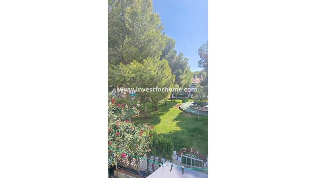 Verkoop - Huis - Torrevieja - Los Balcones