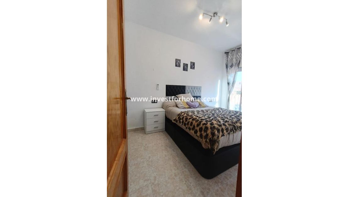 Verkoop - Huis - Torrevieja - Torreta Florida