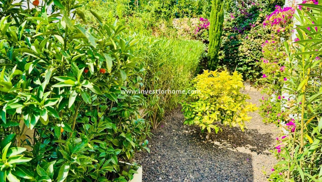 Verkoop - Villa - Algorfa - Club De Golf La Finca