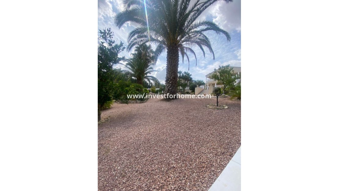 Verkoop - Villa - Algorfa - Inland