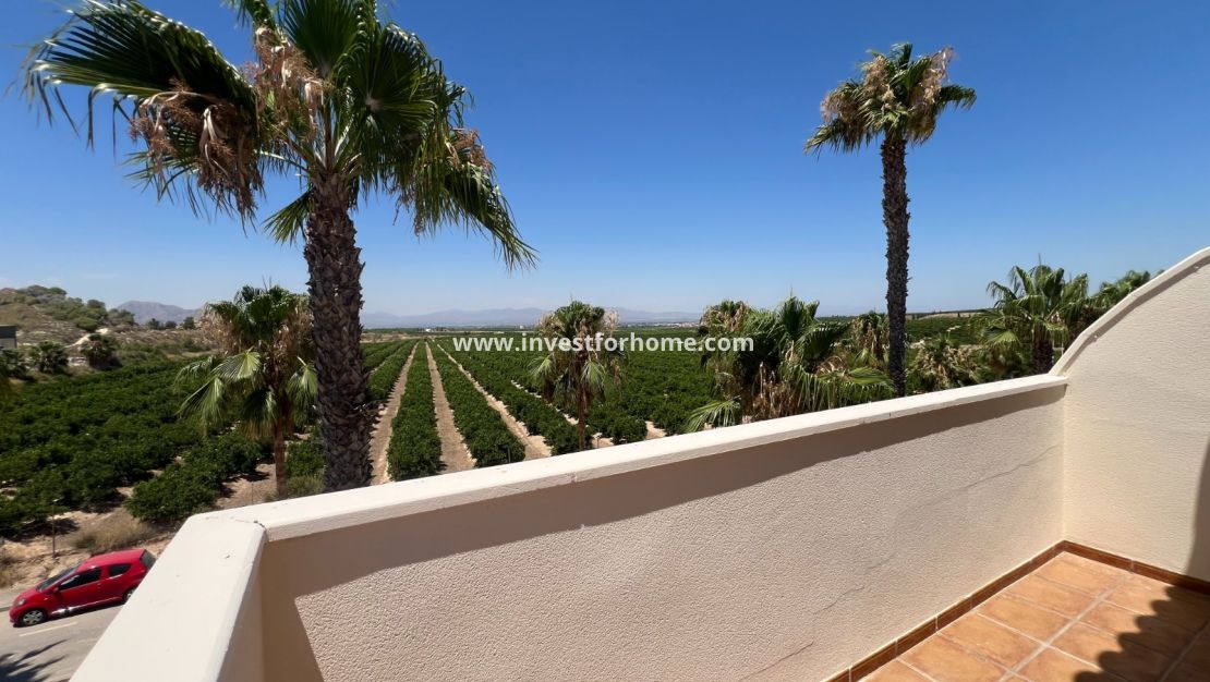 Verkoop - Villa - Algorfa - Inland