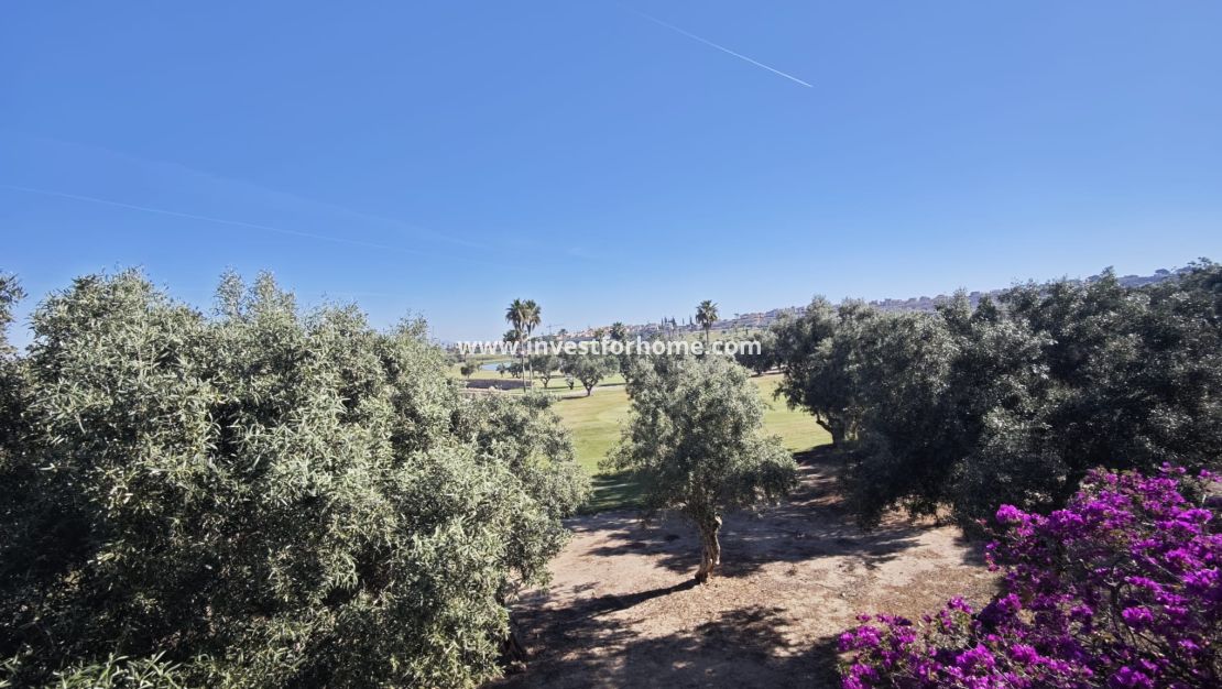 Verkoop - Villa - Algorfa - Inland