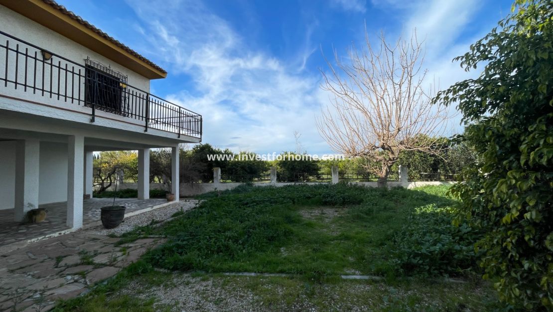 Verkoop - Villa - Benejuzar - Inland