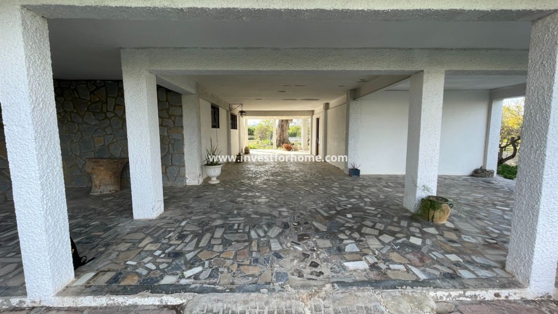 Verkoop - Villa - Benejuzar - Inland