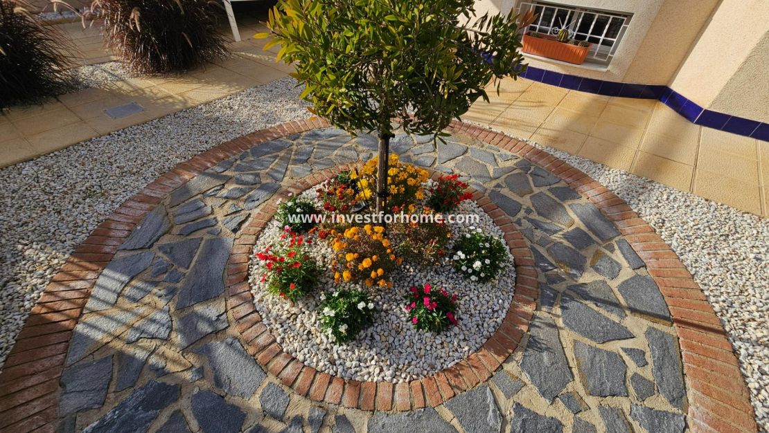 Verkoop - Villa - Benijofar - Benimar 3