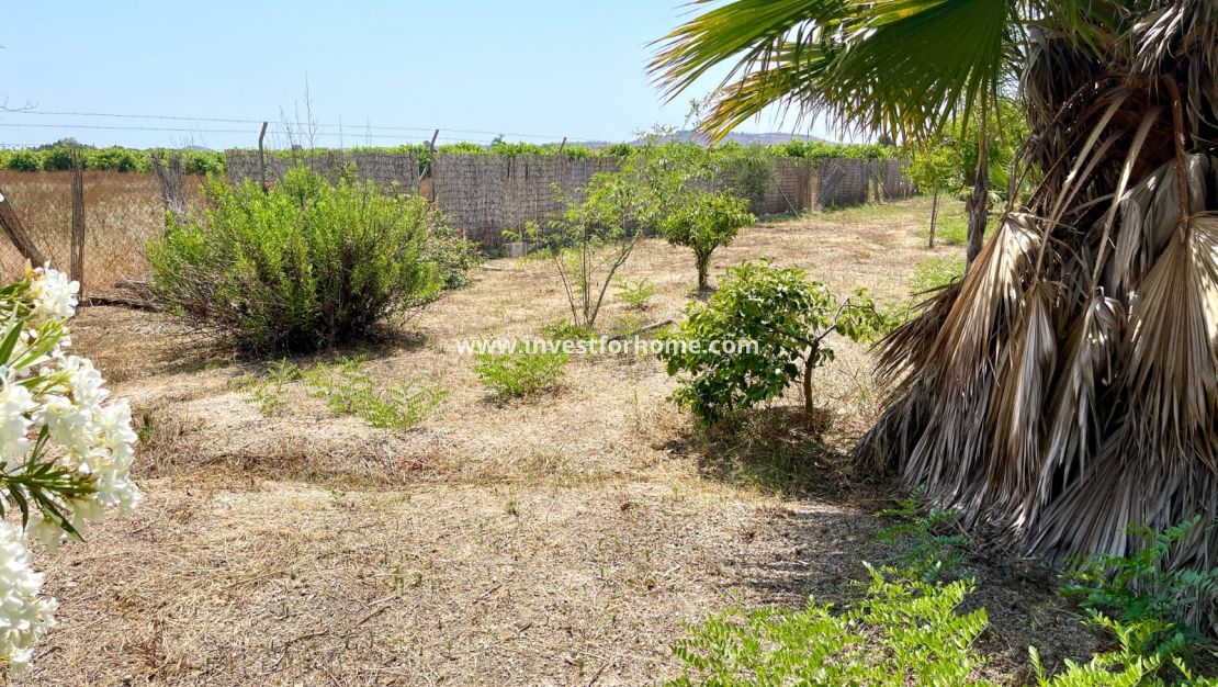 Verkoop - Villa - Daya Nueva - Costa Blanca