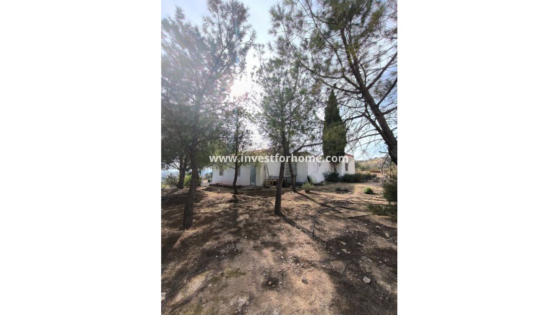 Verkoop - Villa - Fortuna - Inland