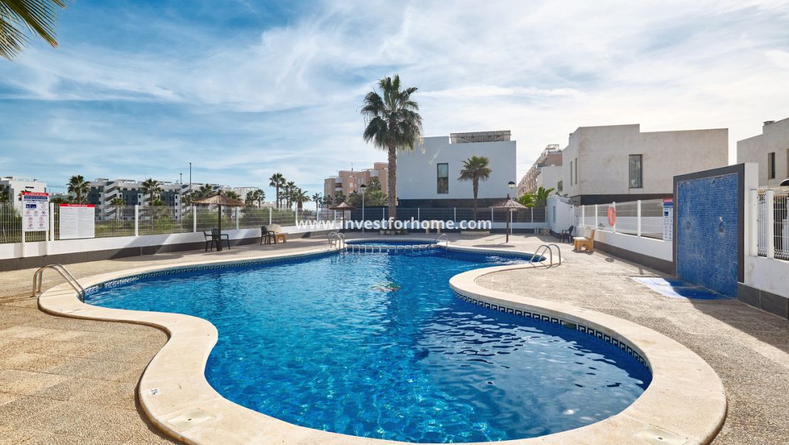 Verkoop - Villa - Guardamar del Segura - El Raso