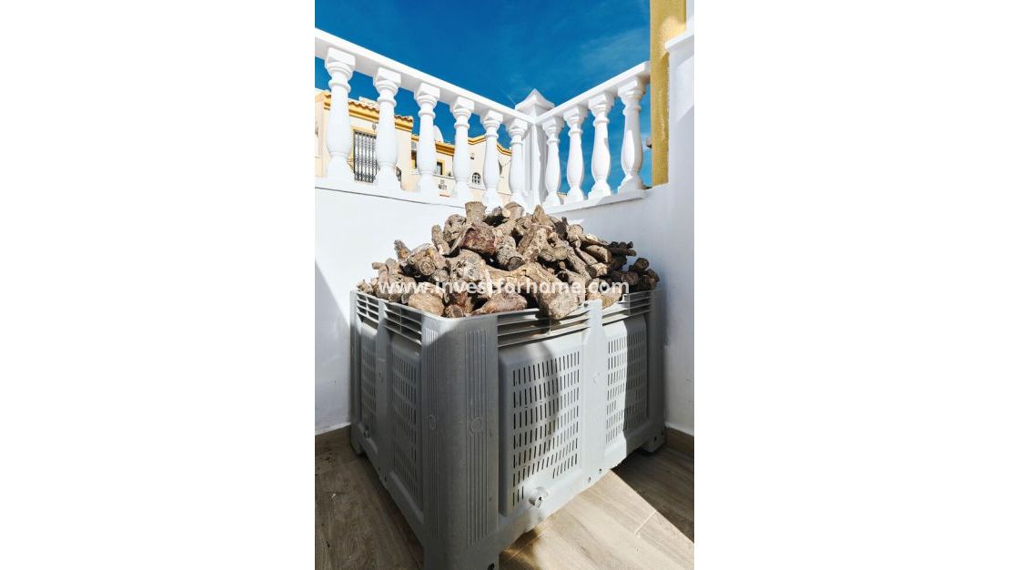 Verkoop - Villa - Guardamar del Segura - El Raso