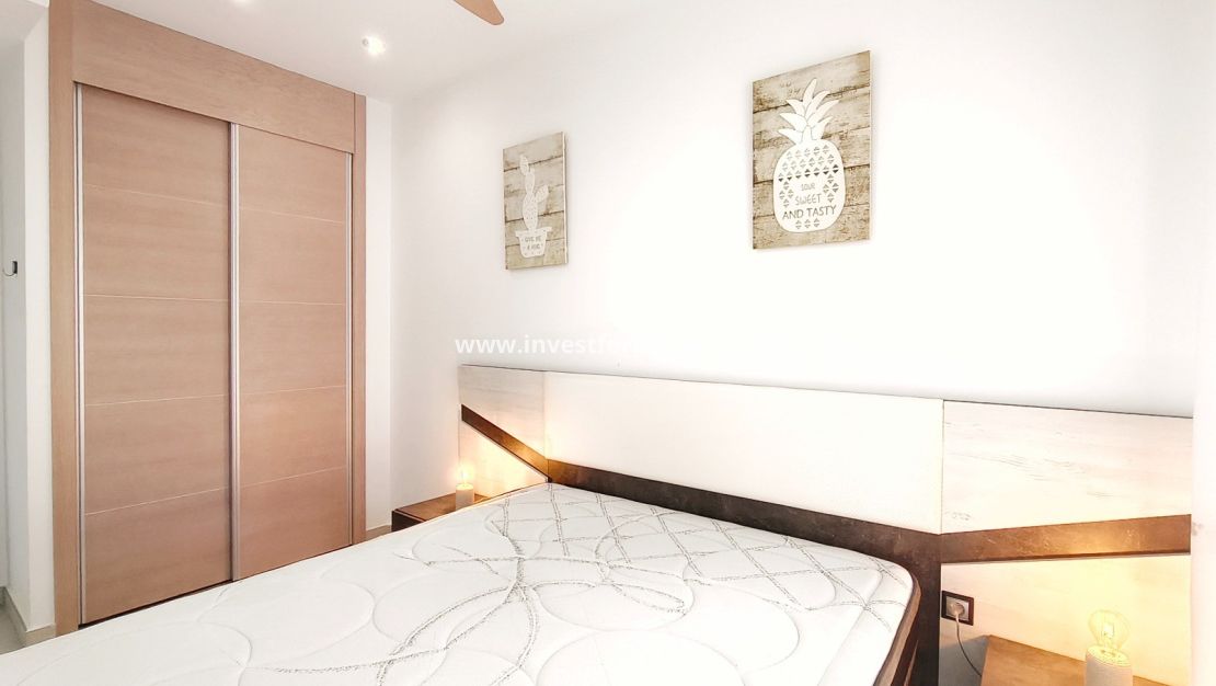 Verkoop - Villa - Guardamar del Segura - El Raso