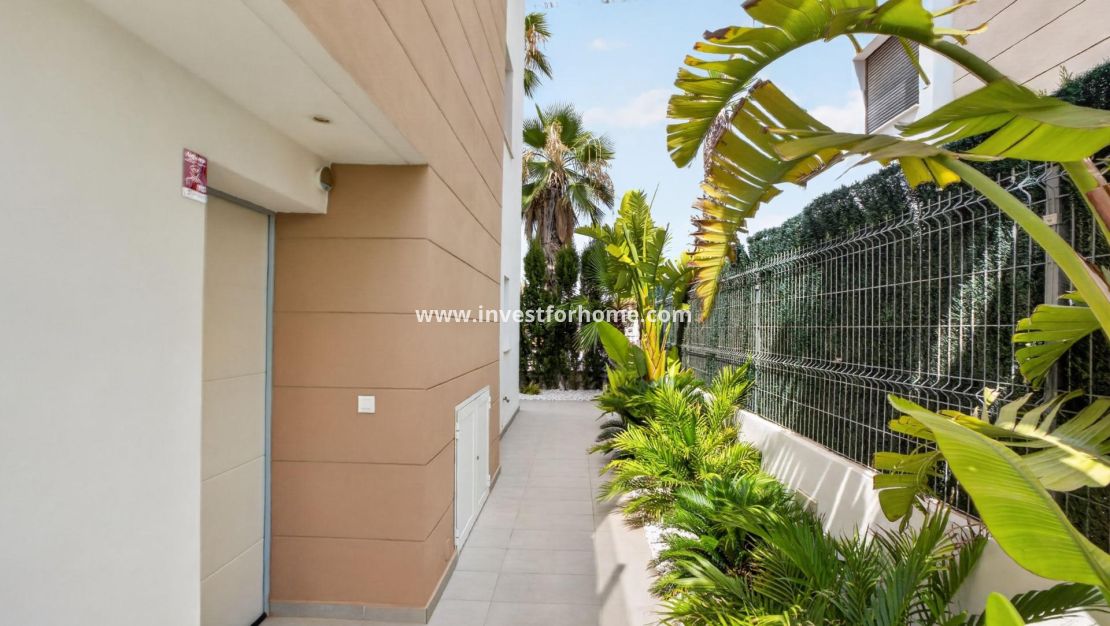 Verkoop - Villa - Guardamar del Segura - El Raso