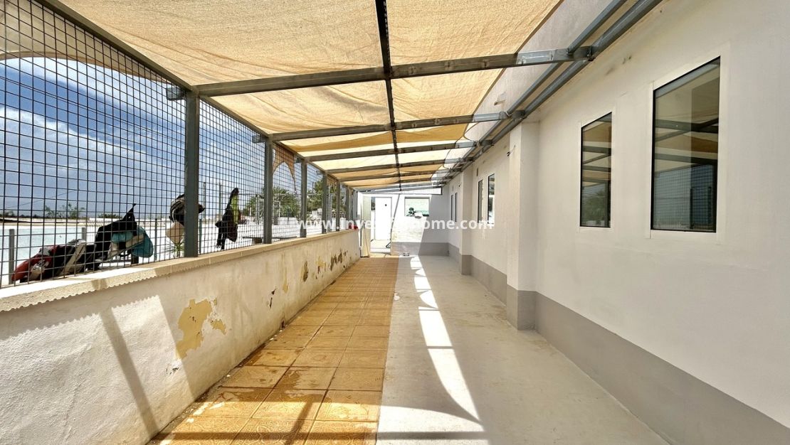 Verkoop - Villa - Los Montesinos - Costa Blanca