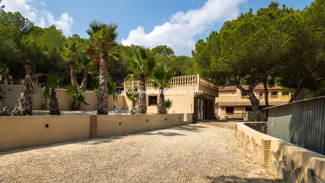 Verkoop - Villa - Torremendo - Costa Blanca