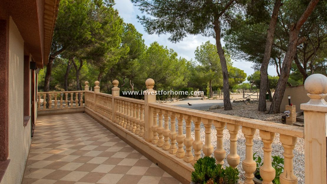 Verkoop - Villa - Torremendo - Costa Blanca