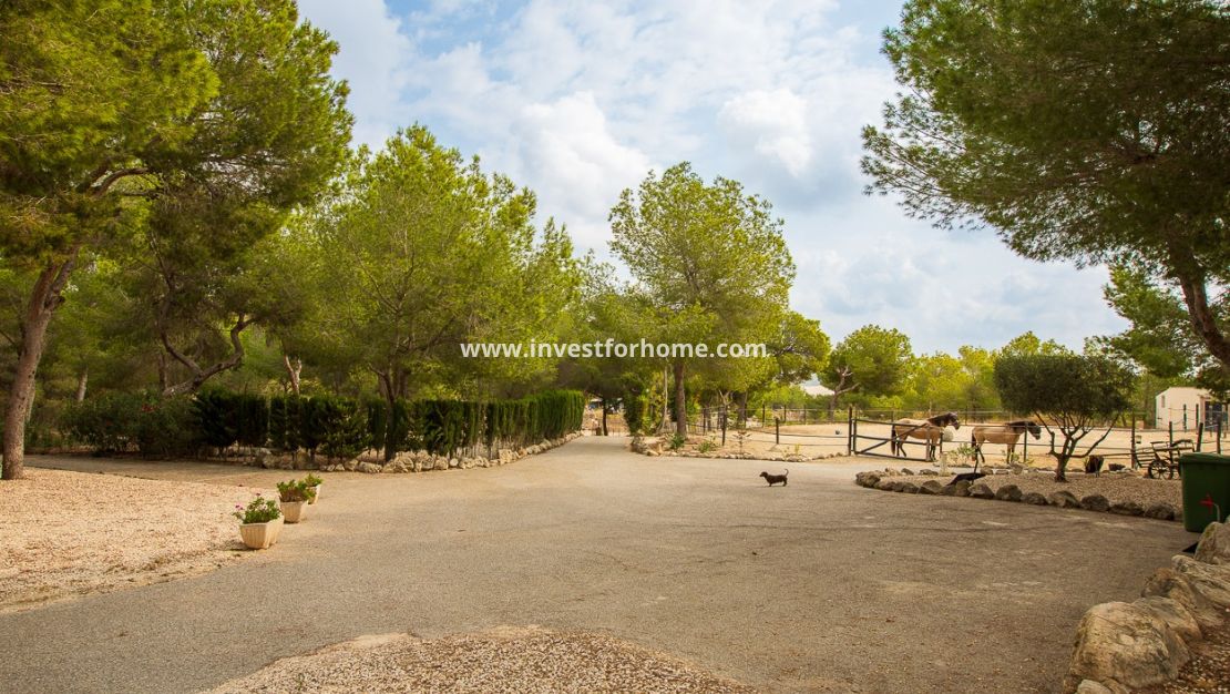 Verkoop - Villa - Torremendo - Costa Blanca