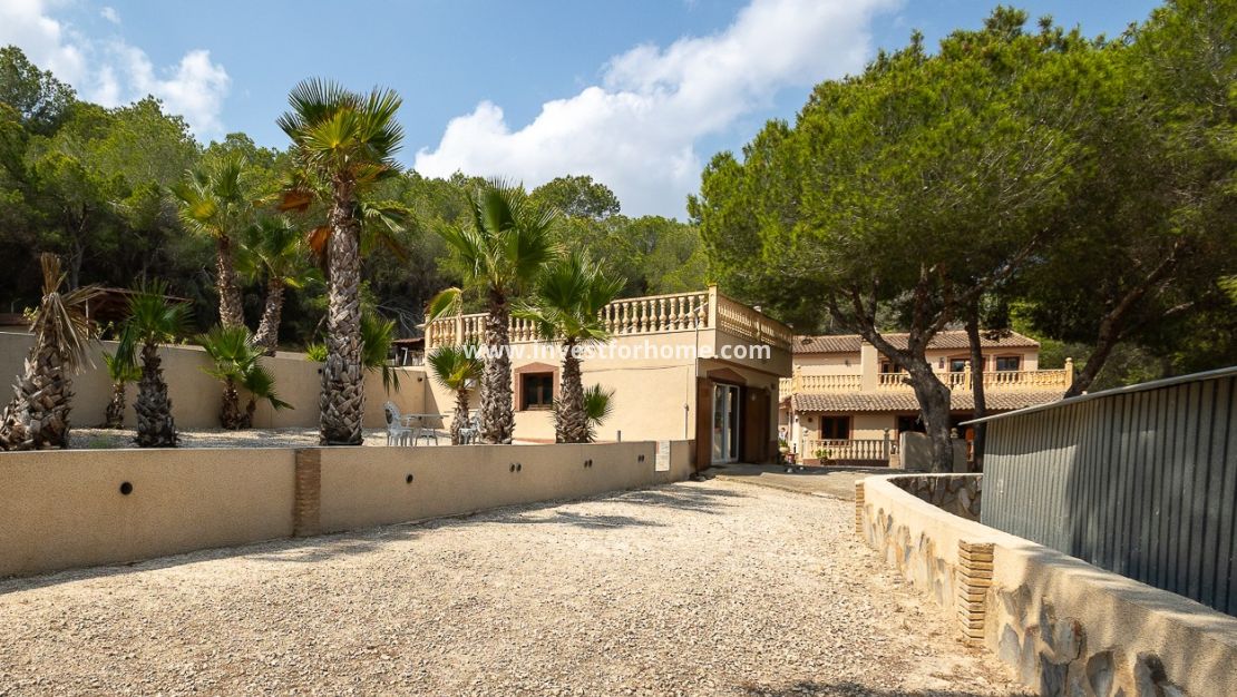 Verkoop - Villa - Torremendo - Costa Blanca