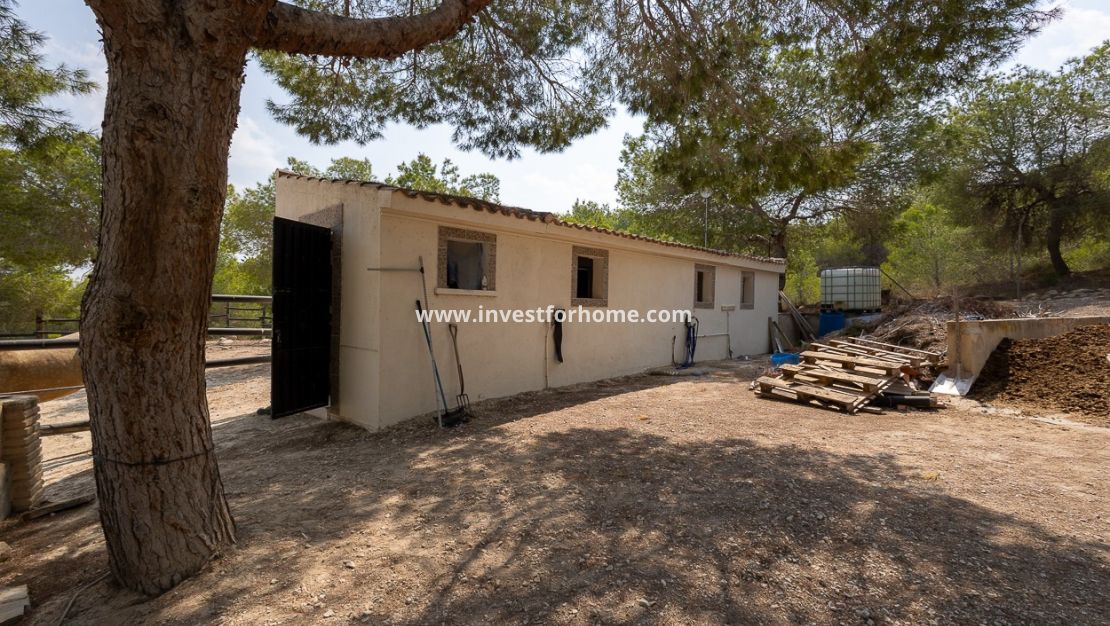 Verkoop - Villa - Torremendo - Costa Blanca