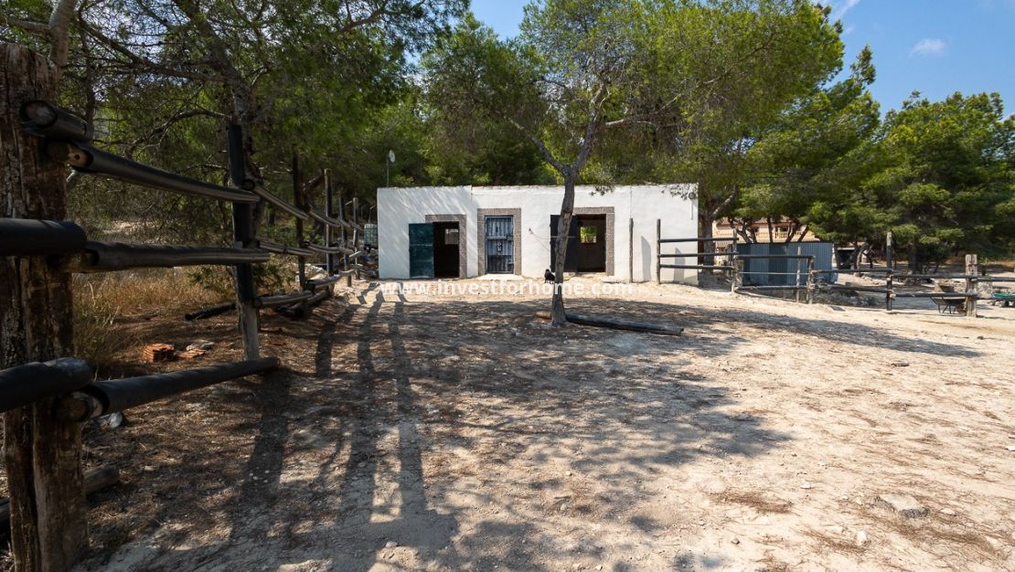 Verkoop - Villa - Torremendo - Costa Blanca