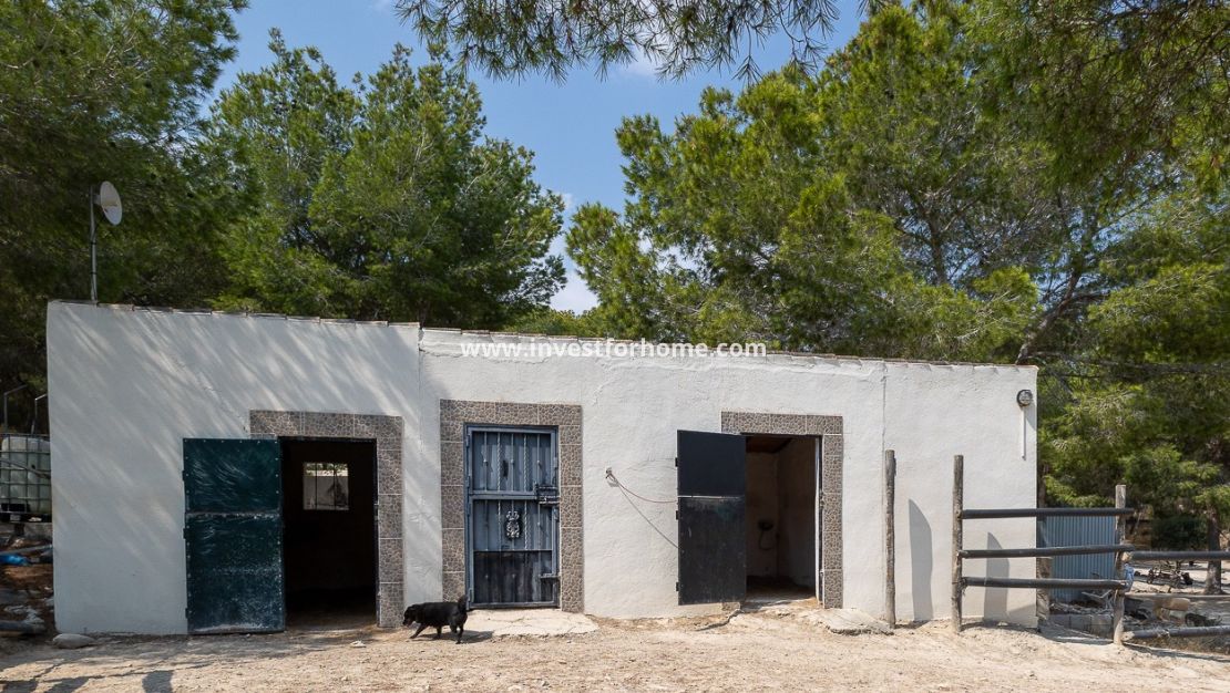 Verkoop - Villa - Torremendo - Costa Blanca