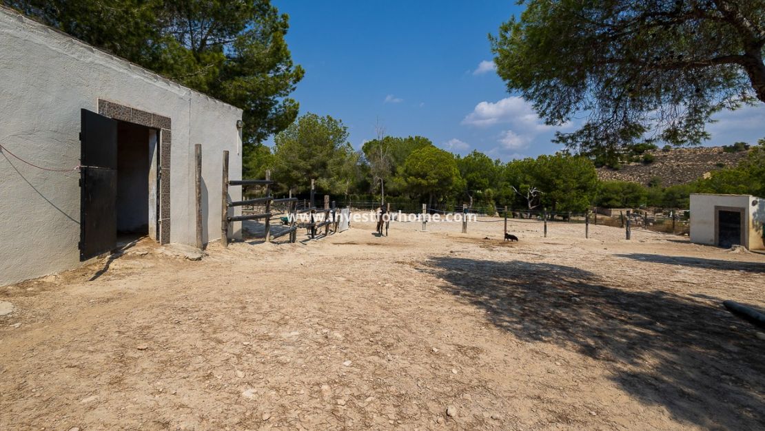 Verkoop - Villa - Torremendo - Costa Blanca