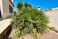 Verkoop - Villa - Torrevieja - Costa Blanca
