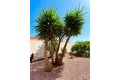 Verkoop - Villa - Torrevieja - Costa Blanca