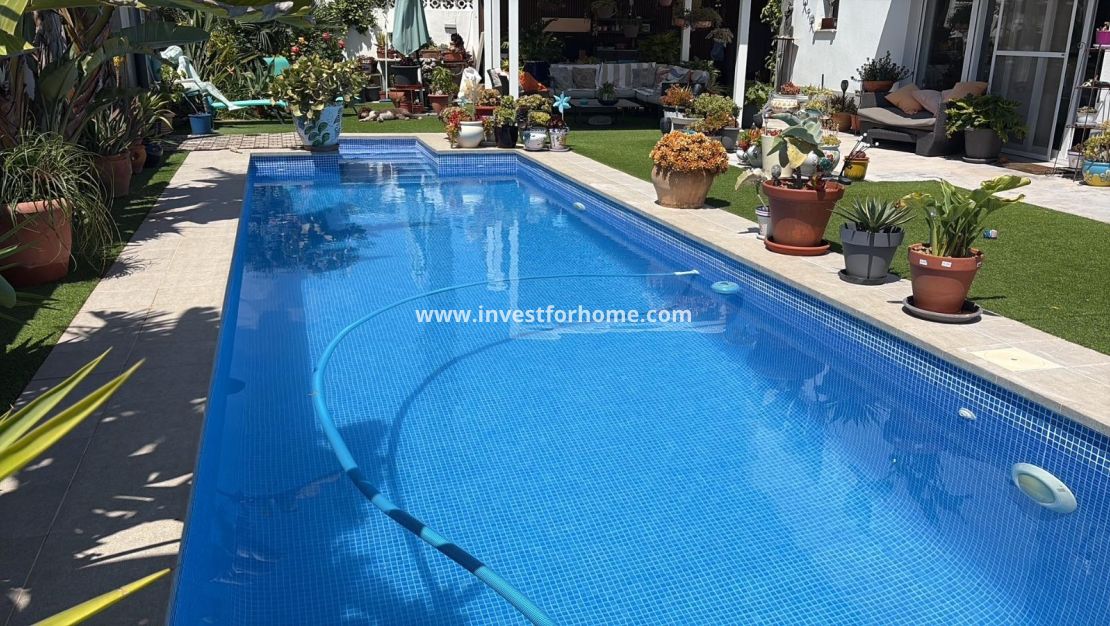 Verkoop - Villa - Torrevieja - La Siesta