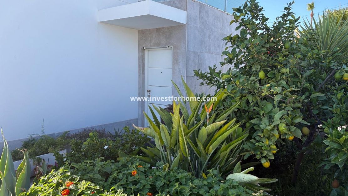 Verkoop - Villa - Torrevieja - La Siesta